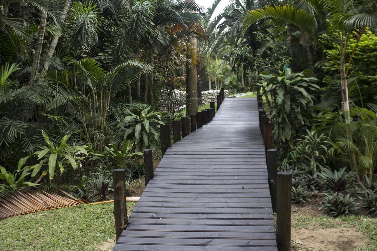 Saint Lucia Estuary Avalone Guest House المظهر الخارجي الصورة