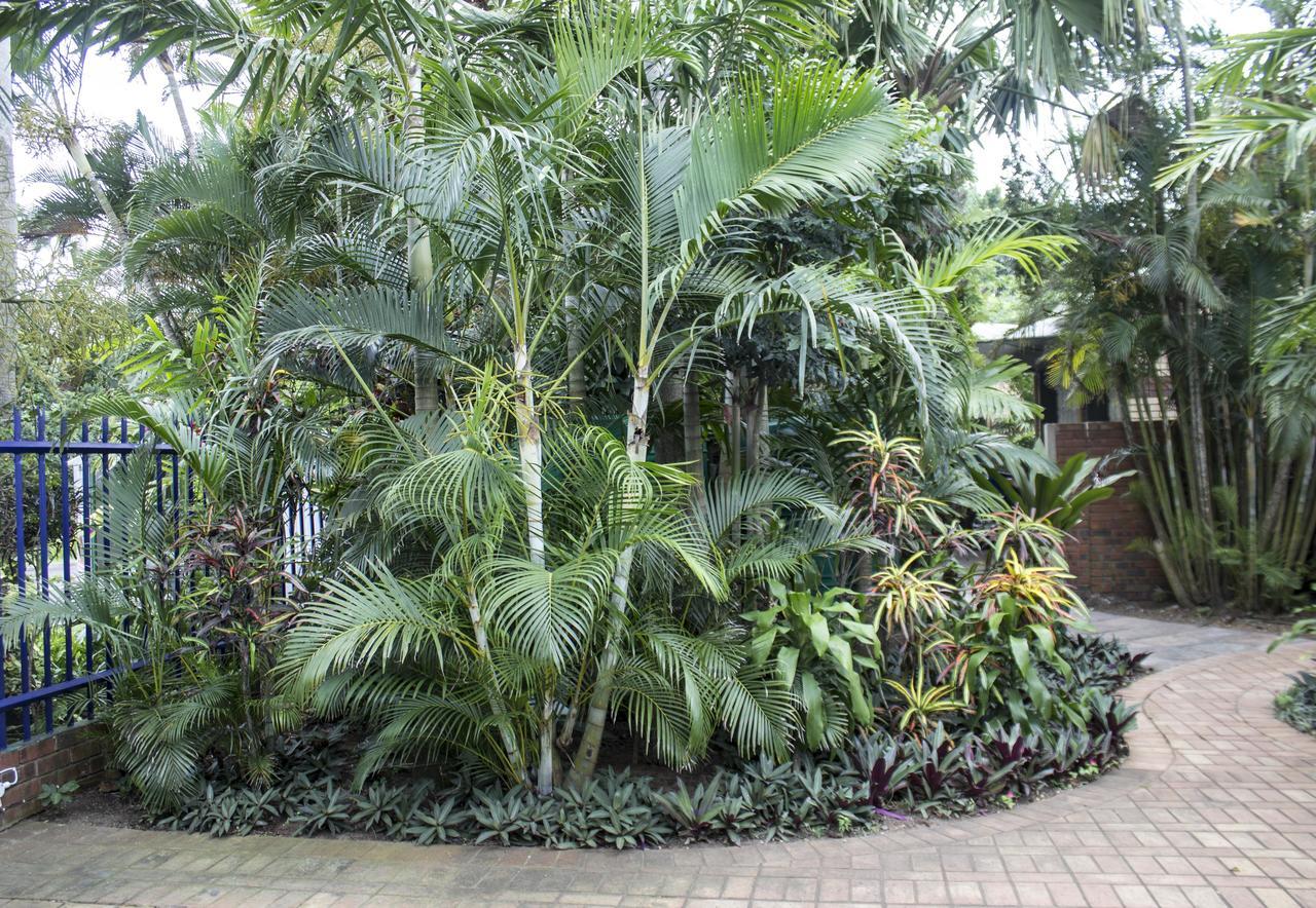 Saint Lucia Estuary Avalone Guest House المظهر الخارجي الصورة